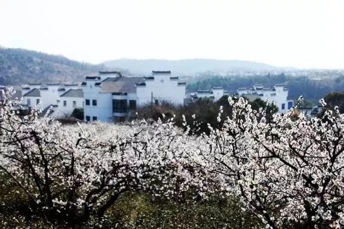 关中男人的拼音字母知识星球-为你打开无限智慧之门